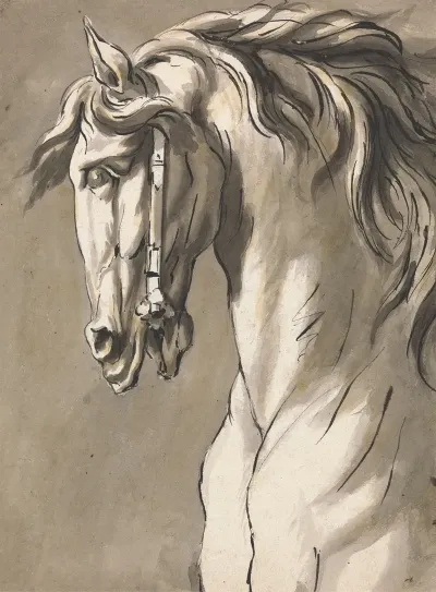 Study Of A Horses Head