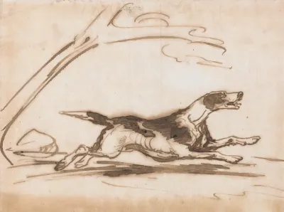 Study Of A Hound Running