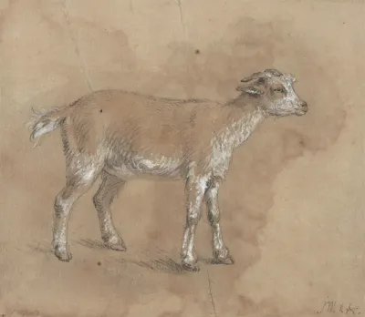 Study Of A Kid