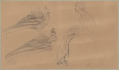Study Of A Lady Playing A Lute And Drapery For The Painting The Upbringing Of Sigismund Augustus