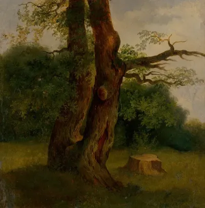 Study Of A Leafy Tree