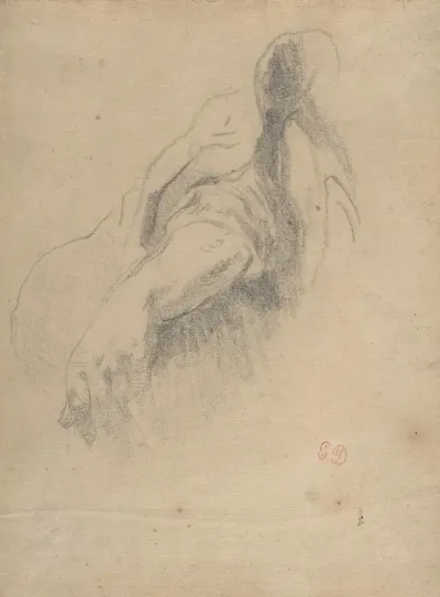 Study Of A Left Arm And Hand