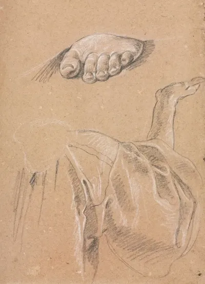 Study Of A Left Foot And Drapery Study With Right Arm