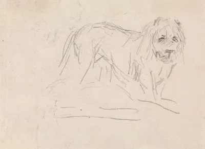 Study Of A Lion 3