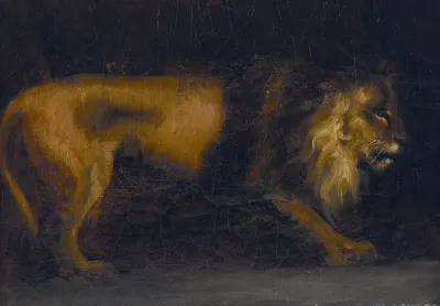 Study Of A Lion