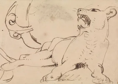 Study Of A Lioness