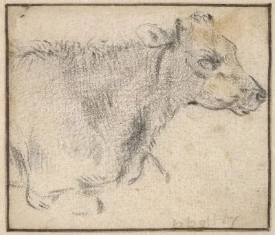 Study Of A Lying Cow