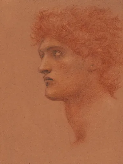 Study Of A Male Head In Profile For Perseus In The Call Of Perseus