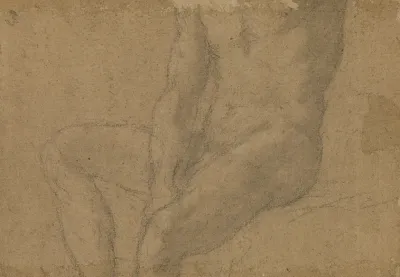 Study Of A Male Nude 3