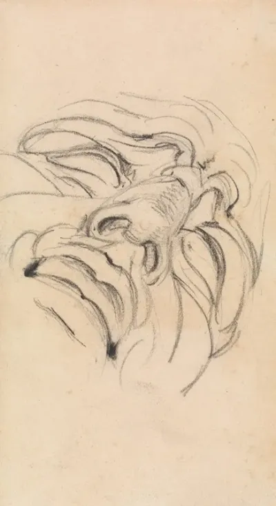 Study Of A Mans Expressive Face