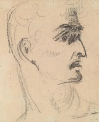 Study Of A Mans Facial Expression