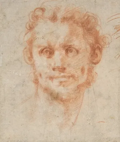 Study Of A Mans Head 3