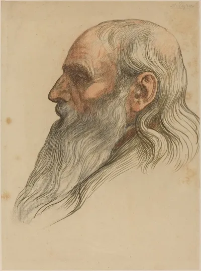 Study Of A Mans Head With A Full Beard