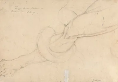 Study Of A Mans Leg
