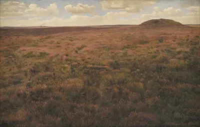Study Of A Moor