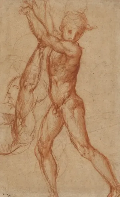 Study Of A Nude Boy Partial Figure Study