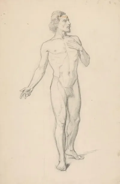 Study Of A Nude Male 6