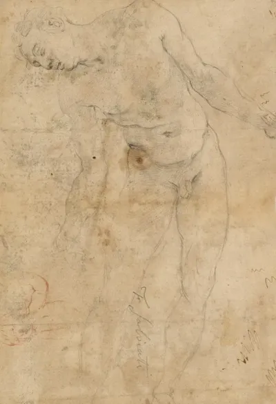 Study Of A Nude Male Youth And A Small Study Of A Putto