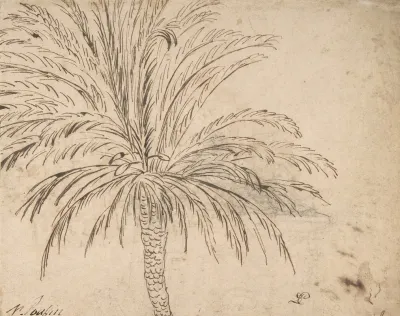 Study Of A Palm Tree 2