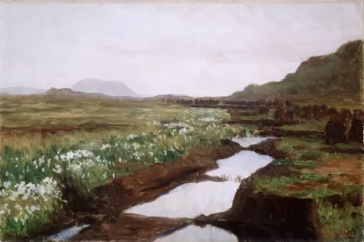 Study Of A Peat Bog On Jaeren