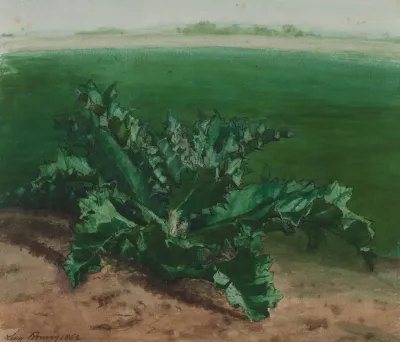 Study Of A Plant Possibly Thistle