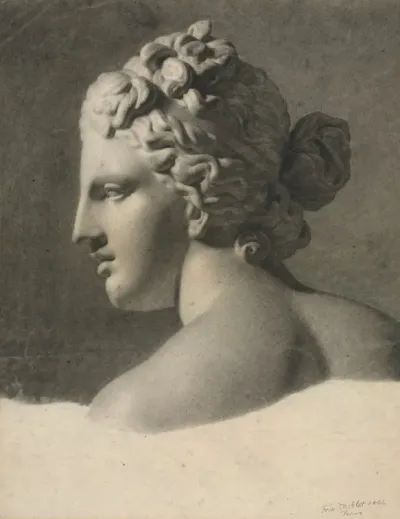 Study Of A Plaster Cast A La Bosse