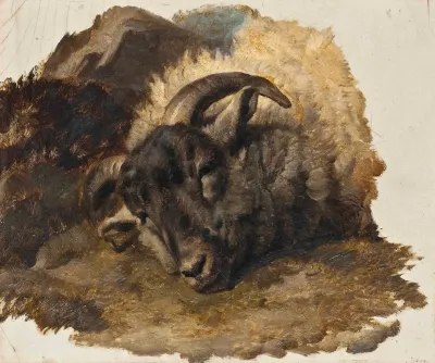 Study Of A Rams Head