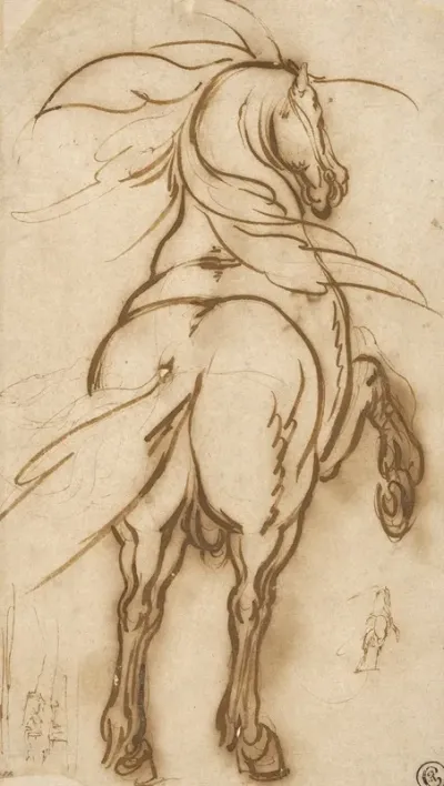 Study Of A Rearing Horse