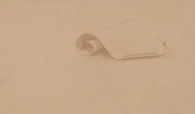 Study Of A Scroll
