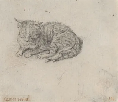 Study Of A Sleeping Cat