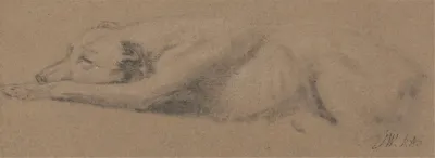 Study Of A Sleeping Dog 2