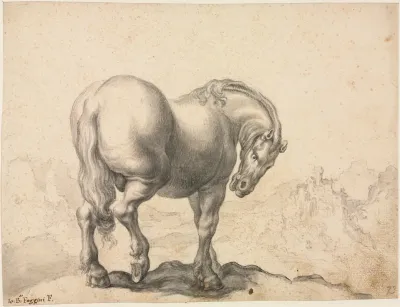 Study Of A Stallion 2