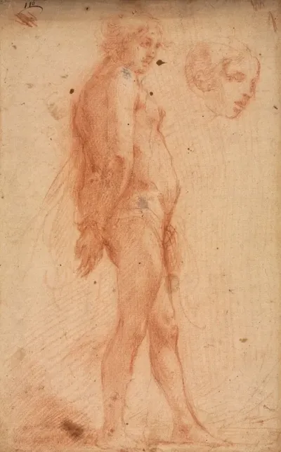 Study Of A Standing Male Nude With A Study Of Head In Three Quarter Profile