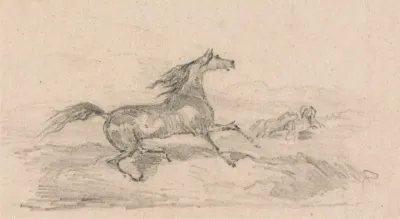 Study Of A Startled Horse