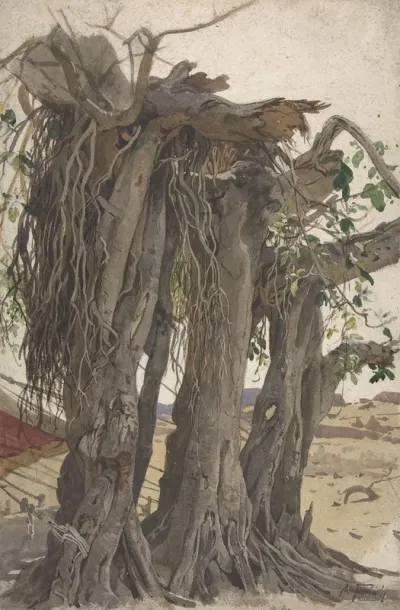 Study Of A Stump With Aerial Roots