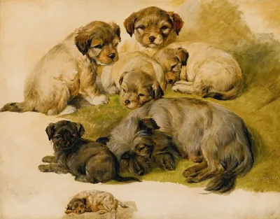 Study Of A Terrier And Puppies