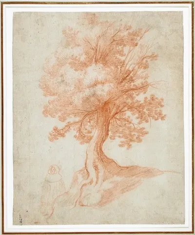 Study Of A Tree 12