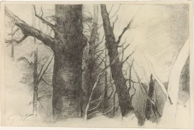 Study Of A Tree 16