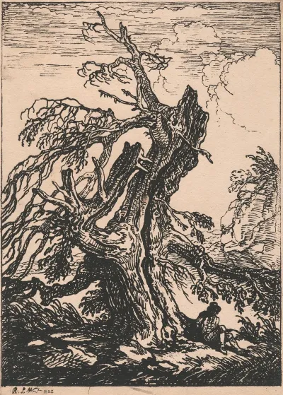 Study Of A Tree 18
