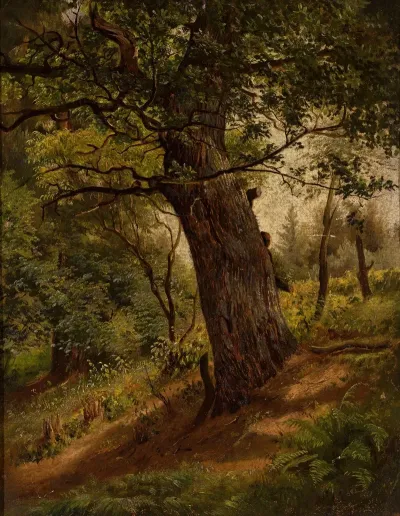 Study Of A Tree 2