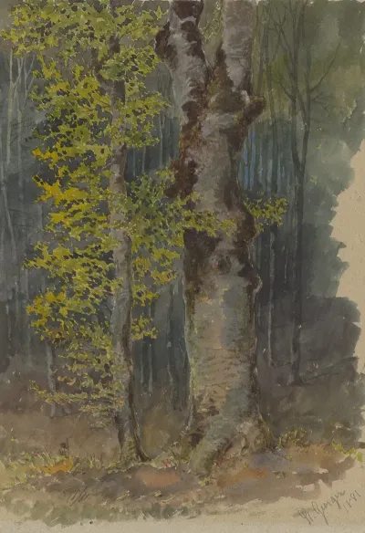 Study Of A Trunk Branching Out