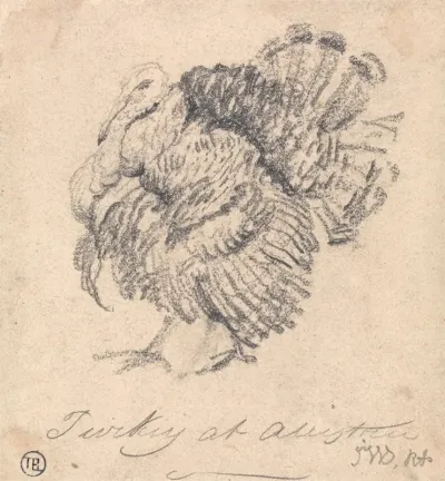 Study Of A Turkey