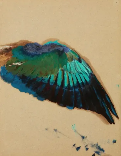 Study Of A Wing Study Of A Fgure Of Inspiration From The Curtain For The Municipal Theater In Lviv