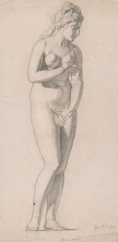 Study Of A Woman 5