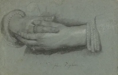 Study Of A Womans Hands