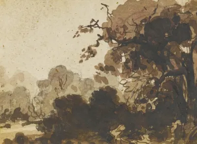 Study Of A Wooded Landscape With Trees