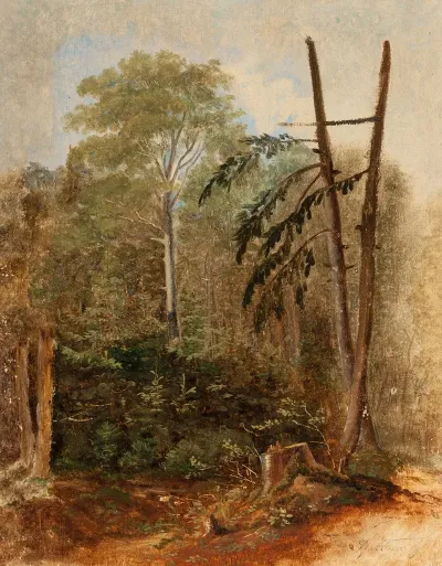 Study Of A Woodland Landscape