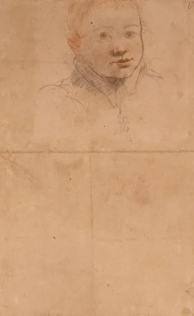 Study Of A Young Man 6