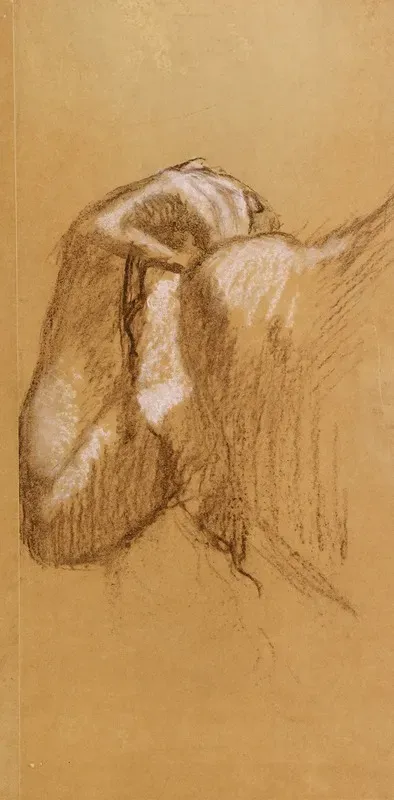 Study Of An Arm