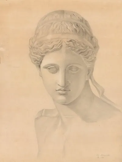 Study Of An Bust